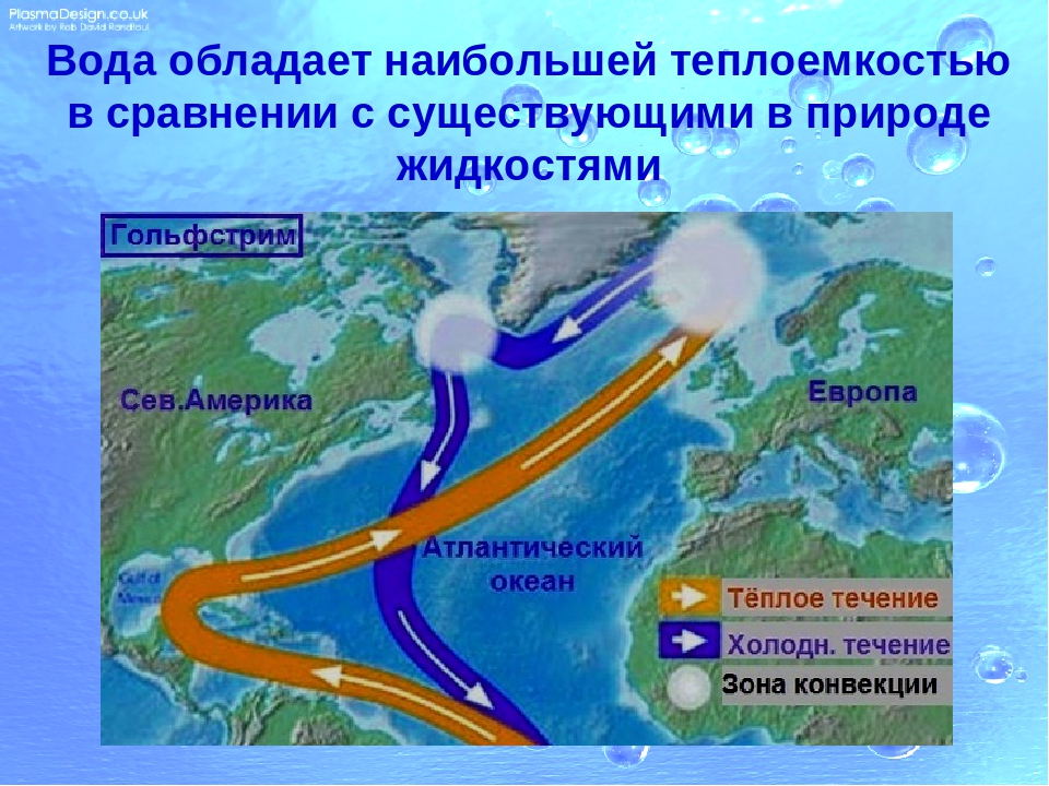 Почему воды атлантического. Гольфстрим и Северо-атлантическое течение. Гольфстрим и Северо атлантическое течение на карте. Норвегия Гольфстрим теплое течение. Гольфстрим течения Атлантического океана.