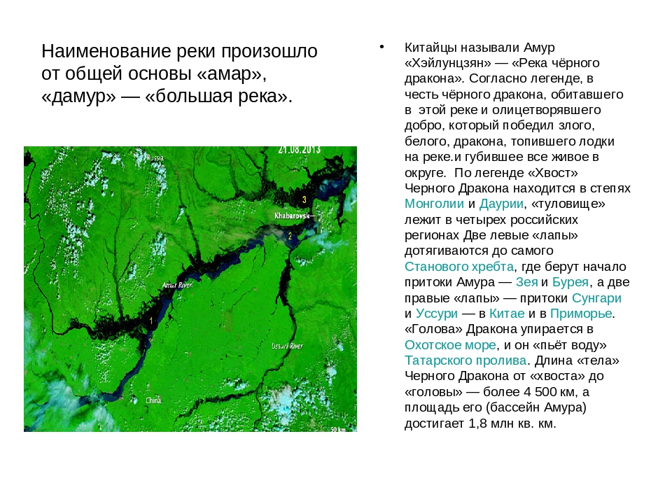 Река амур события