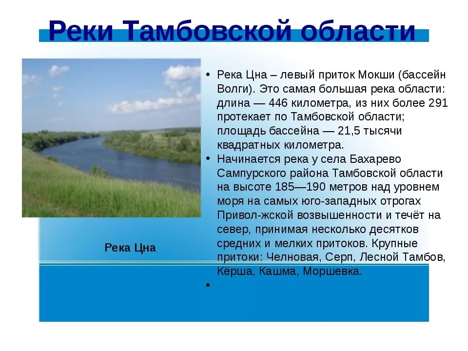 Приток реки 4. Реки Тамбовской области. Водные объекты Тамбовской области. Реки и озера Тамбовской области. Внутренние воды Тамбовской области.