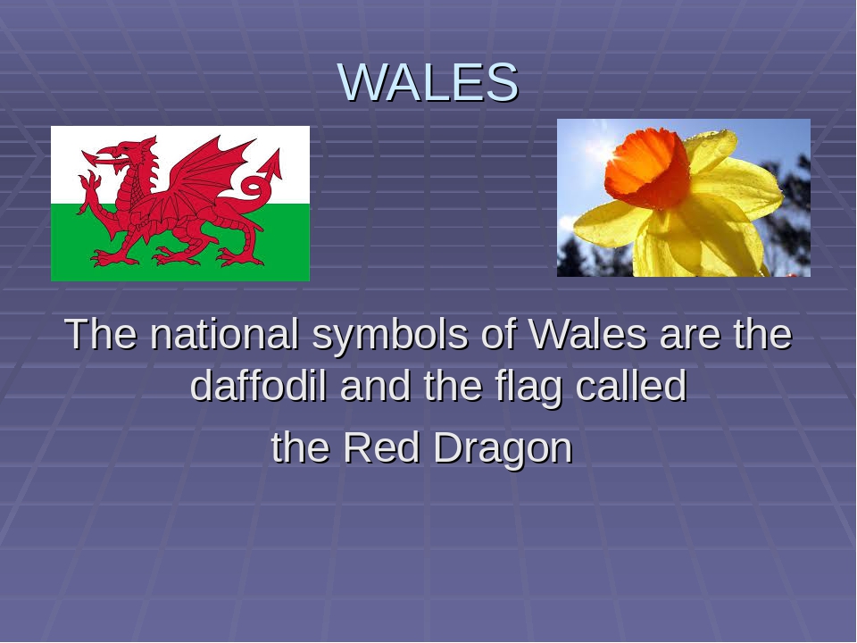 Англо примера. Символ Уэльса. Символ Уэльса на английском. Символ Уэльса цветок. Национальный символ Wales.