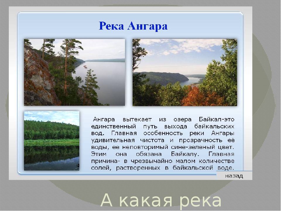 Длина реки ангара