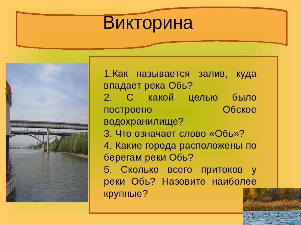 Города на реке обь список. Крупные притоки реки Обь. Особенности реки Обь. Обь Исток и Устье. Обь высота истока.