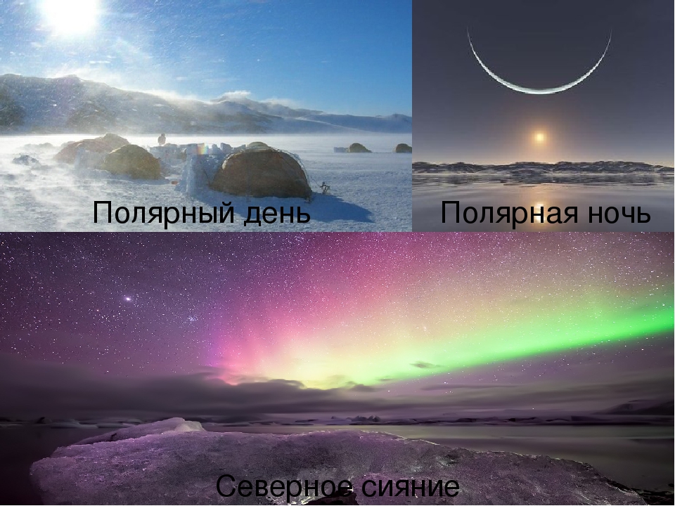 22 июня полярный день наблюдается на всех. Полярный день и ночь. Полярный день и Полярная ночь. Полярный день круг. Календарь полярной ночи.