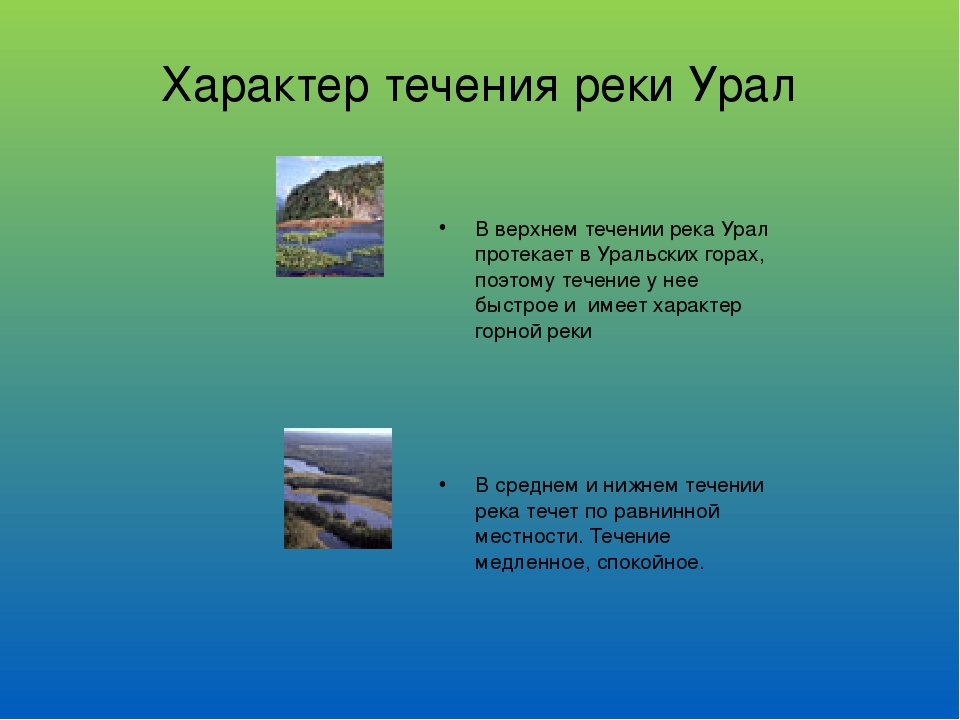 Подъем реки урал по годам. Характер течения реки Урал. Течение рек уральских гор. Информация о реке Урал. Течение рек на уральских горах.