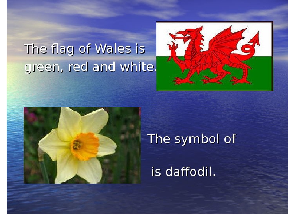 Daffodil symbol