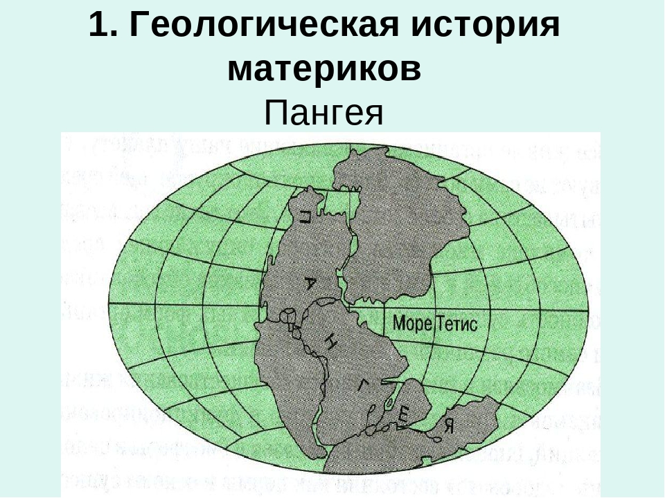 История материков. Образование континентов земли. Геологическая история материков. История континентов земли. История формирования материков.