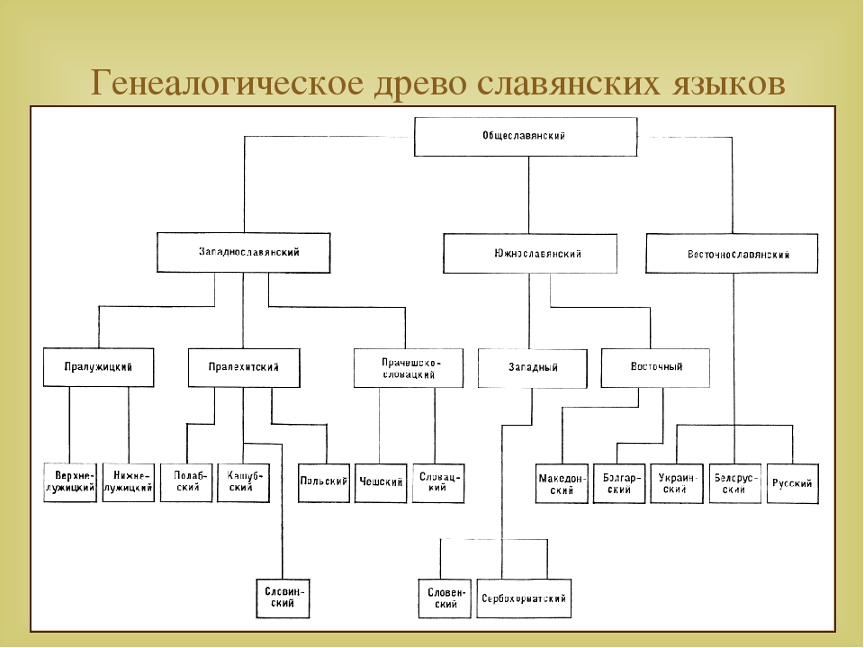 Русское древо. Языковое Древо славянских языков. Славянские языки генеалогическое Древо. Генеалогическое Древо Восточной группы славянских языков.. Генеалогическая классификация славянских языков.