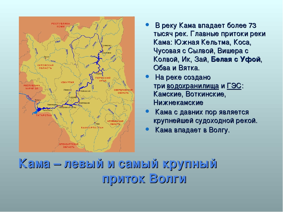 Притоки впадающие в крупные реки справа. Река Кама Исток и Устье. Исток реки Кама схема. Схема река Кама с истоком и устьем. Схема реки Кама.