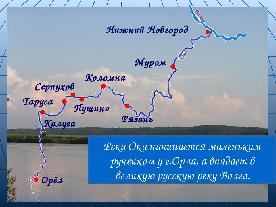 Какая река течет. Схема реки Ока. Река Ока на карте. Река Ока с притоками на карте. Схема реки Ока в Рязани.