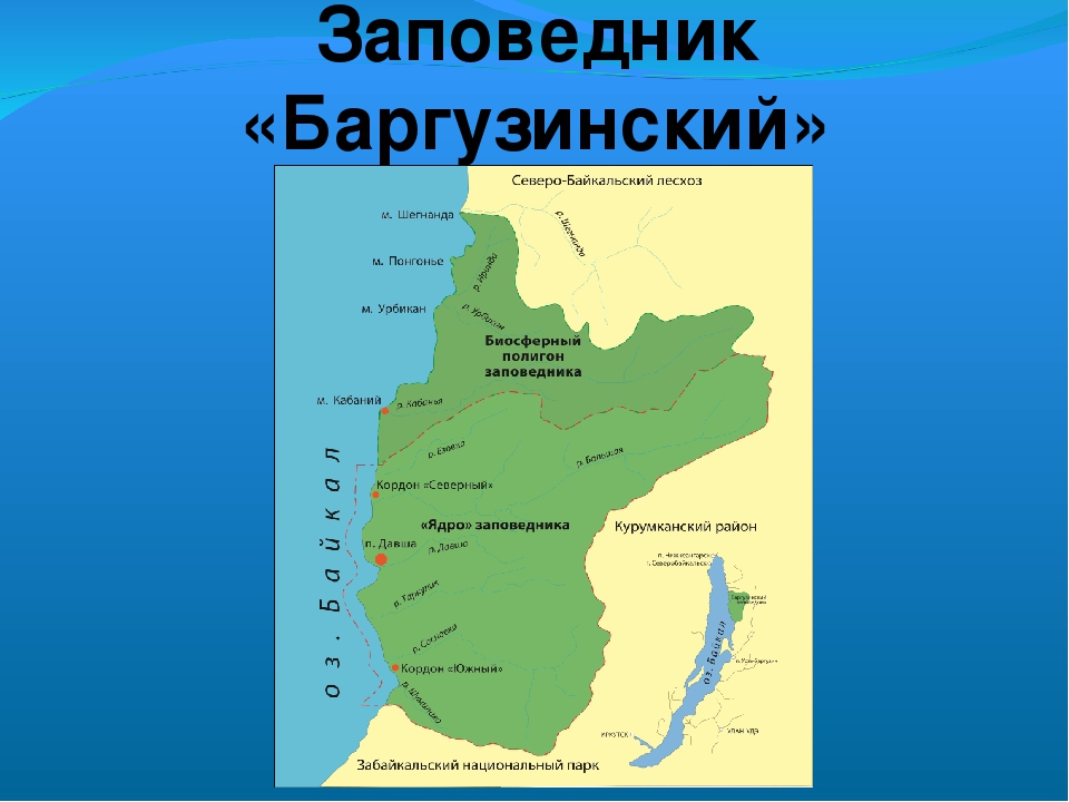 Где находится байкальский заповедник на карте. Баргузинский заповедник местоположение. Баргузинский заповедник местоположение на карте. Баргузинский заповедник местоположение на карте России. Баргузинский заповедник территория.