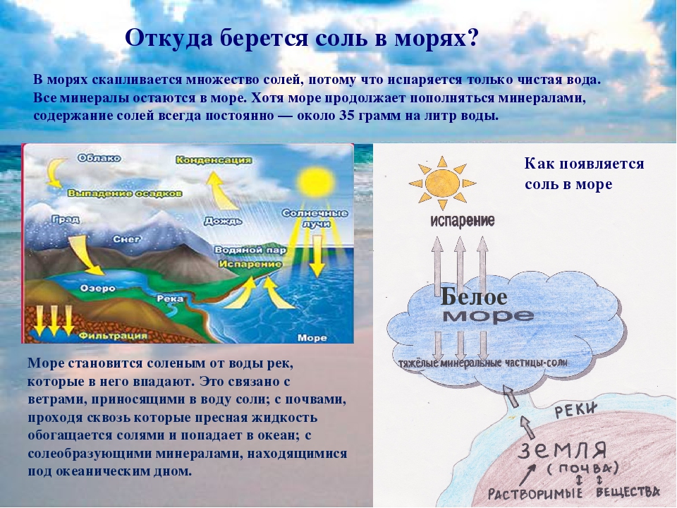 Где берете воду. Почему вода в море соленая. Почему море солёное?. Почему вода соленая. Почему море солёное исследовательская работа.