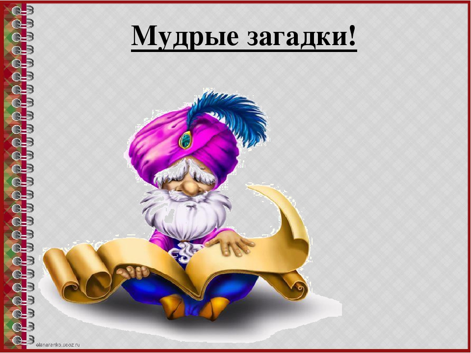 Умные загадки. Мудрые загадки. Загадки про мудрость. Загадка мудреца.