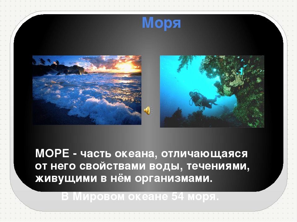 Чем отличается море от океана