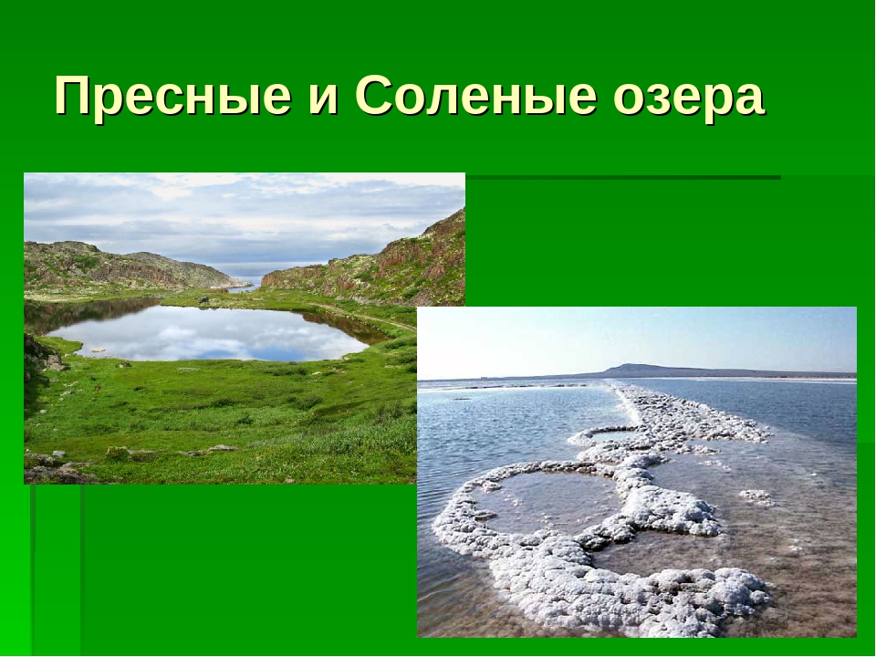 Самое пресное озеро. Пресные и соленые озера. Озера пресные солоноватые и соленые. Соленые и простые озера. Пресные и соленые озера России.