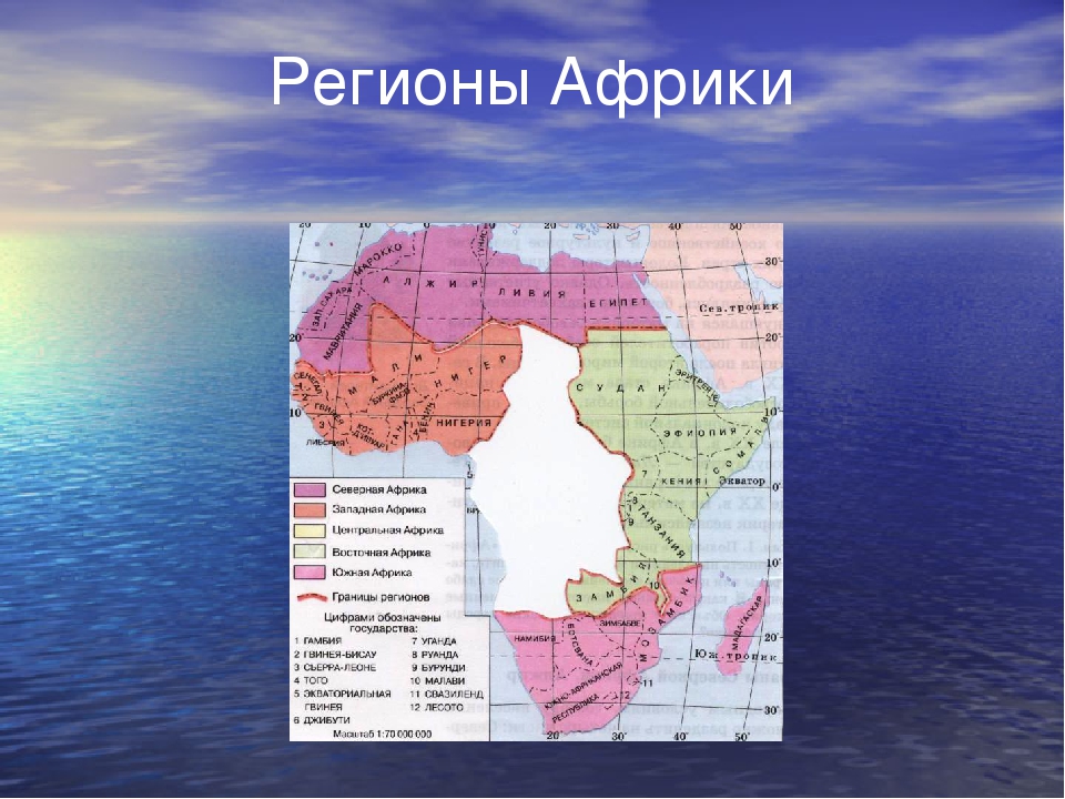 План описания страны северной африки. Регионы Западной Африки 7 класс география. Регионы Африки 7 класс география. Западной Африки презентация 7 класс география. Регионы и страны Африки 7 класс география.