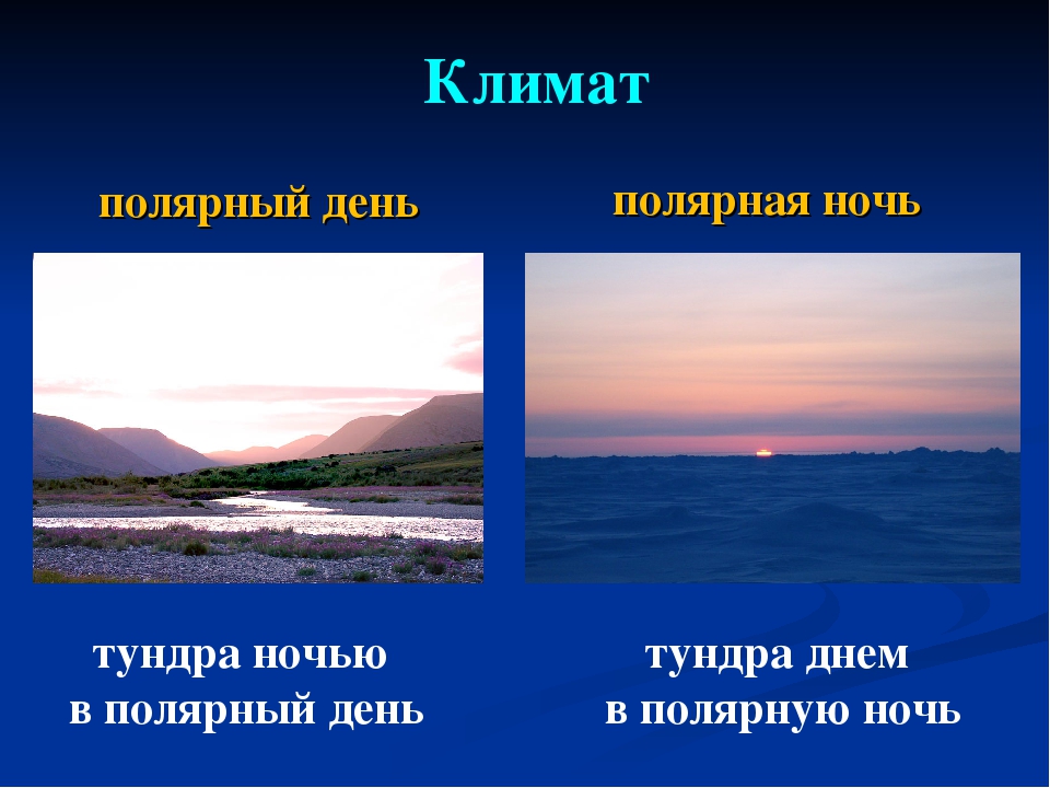 Впр 6 класс полярной ночью в тундре. Полярный день и Полярная ночь. Полярный день в тундре. День и ночь в тундре. Полярные дни и ночи бывают на.