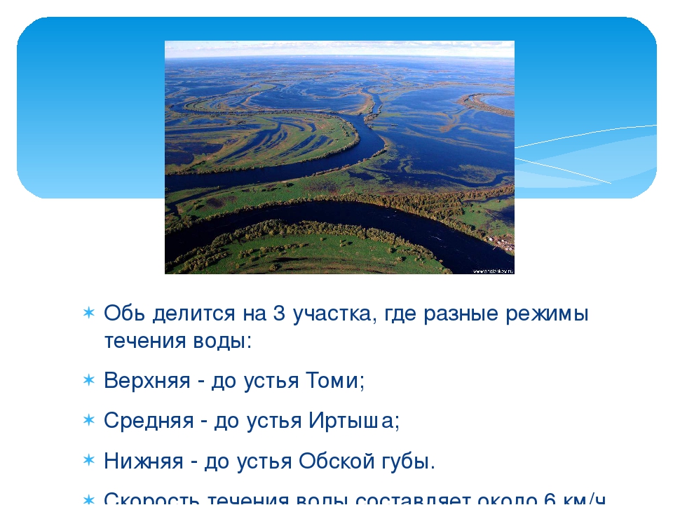 Направления течения реки оби. Характеристика реки Обь. Направление течения реки обе. Исток реки Оби. Обь Устье.