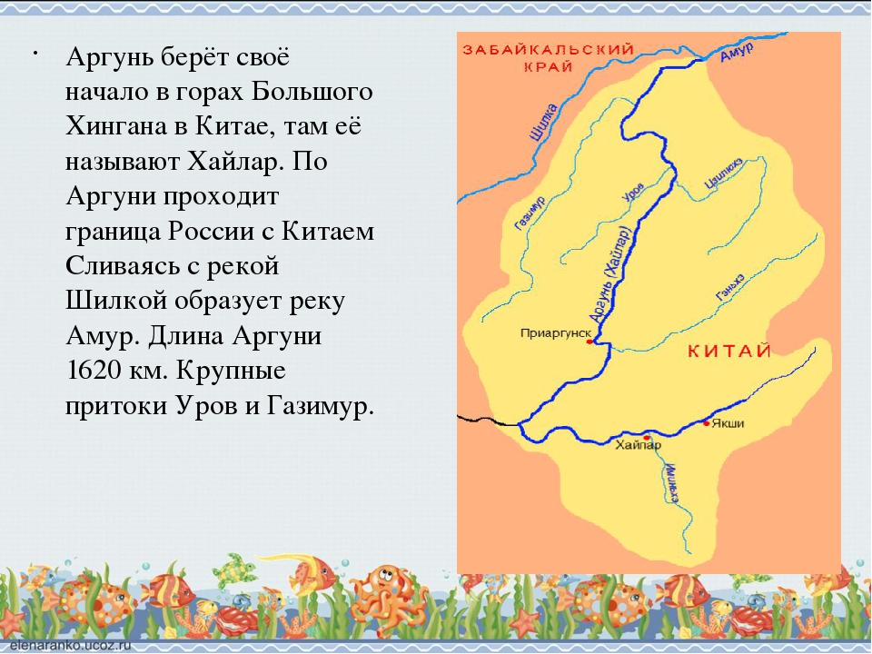 Какие города расположены на амуре. Река Аргунь на карте. Река Аргунь в Забайкальском крае на карте. Исток реки Аргунь.