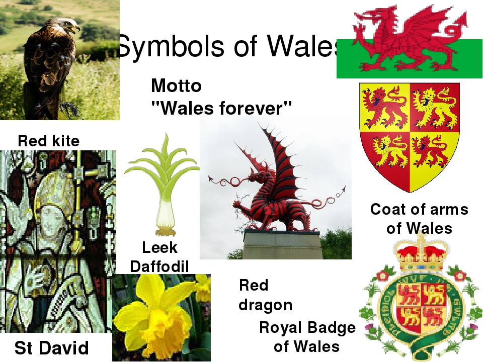 Parts of wales