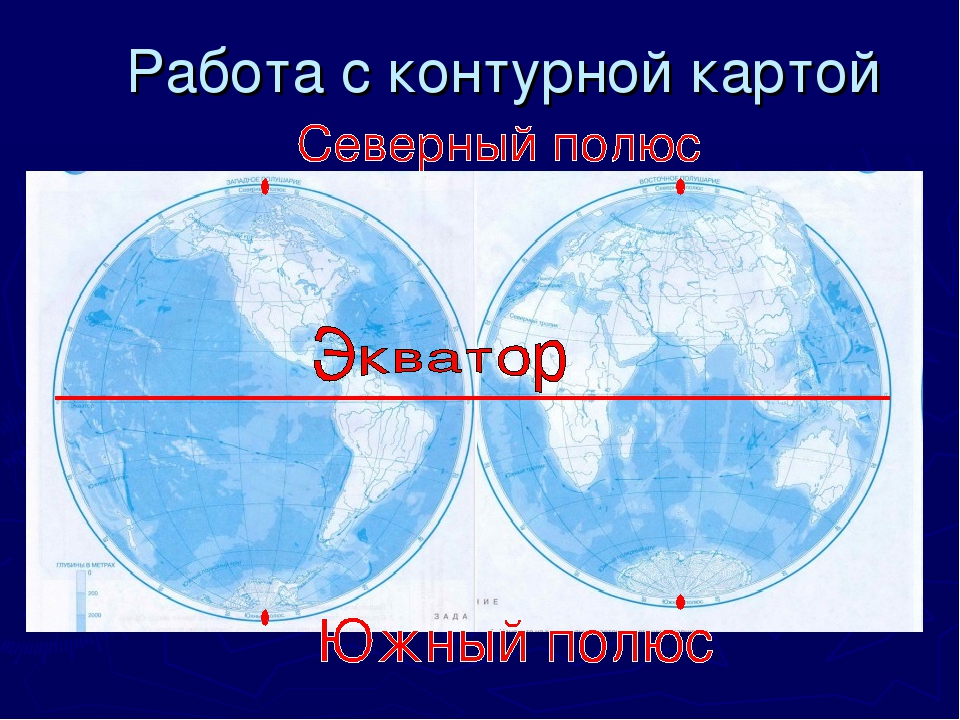 На полюсе находится область