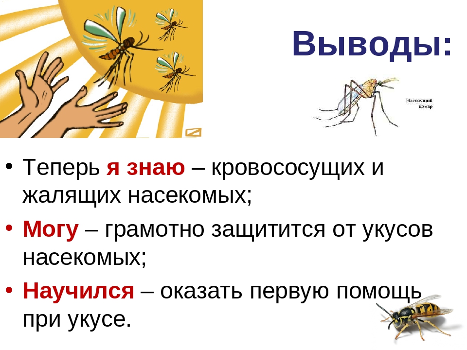 Они выводят. Укусы насекомых и защита от них. Укусы насекомых презентация. Заключение укусы насекомых.