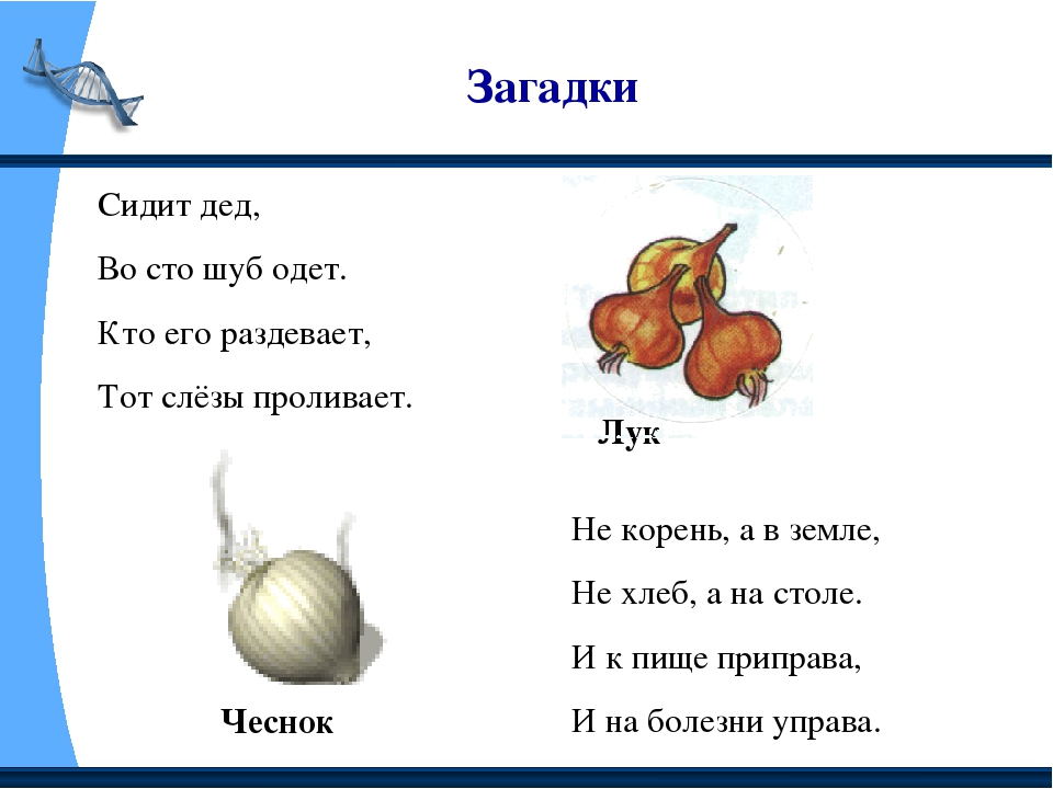 Загадки 9 10 лет с ответами. Загадки для детей. Загадки и отгадки. Загадки с ответами. Короткие загадки.