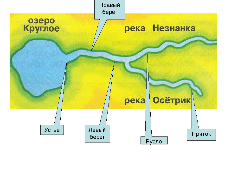 Приток реки 4. Притоки реки Оленек на карте. Берег левый берег правый. Окружающий мир озеро круглое и река Незнанка и река Осетрик. Куда впадает река Незнайка.