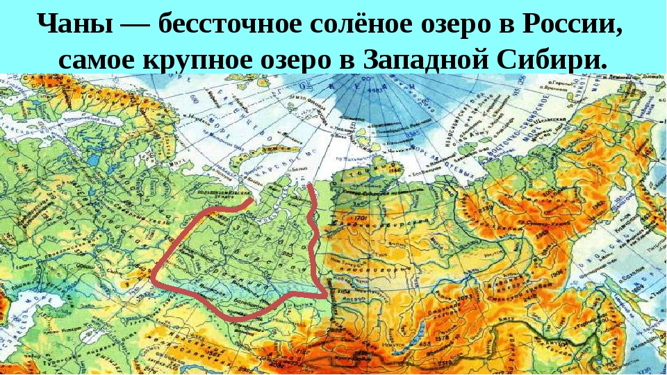 Где находятся чаны. Озеро Чаны на карте России. Озеро Чаны на карте России в атласе. Чаны карта озера на карте России. Озеро Чаны на карте России физической.