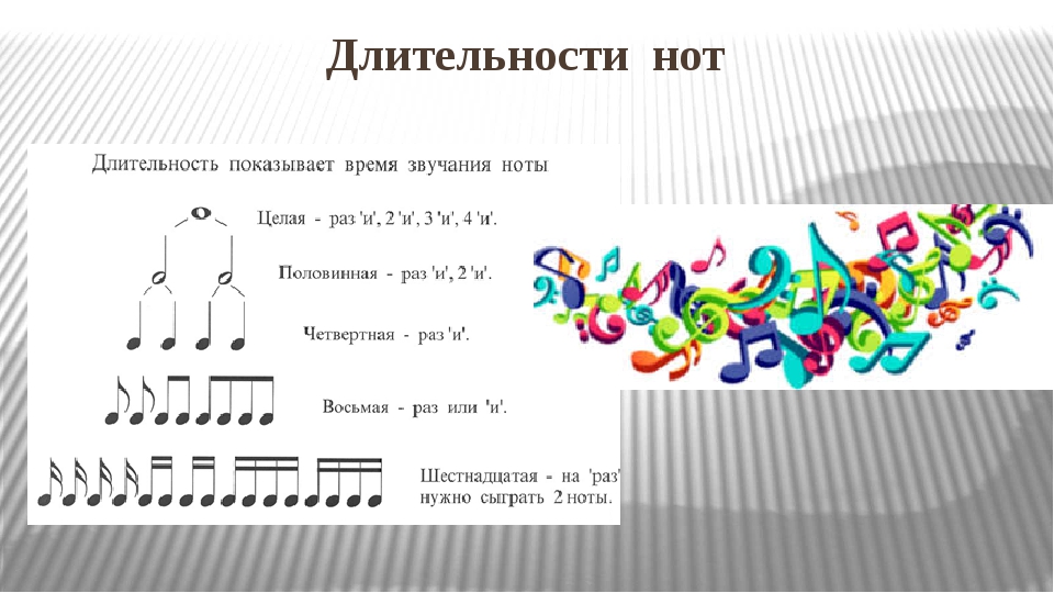 Размеры ритма. Длительности нот. Ноты разной длительности. Ноты Длительность нот. Длительность звучания нот.