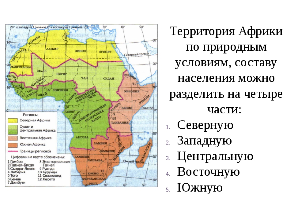 Какие объекты расположены на территории африки. География 7 класс регионы Африки Северная и Западная Африка таблица. Регионы Западной и центральной Африки. Границы Северной Южной Западной и Восточной Африки на карте. Субрегионы Африки состав территории.