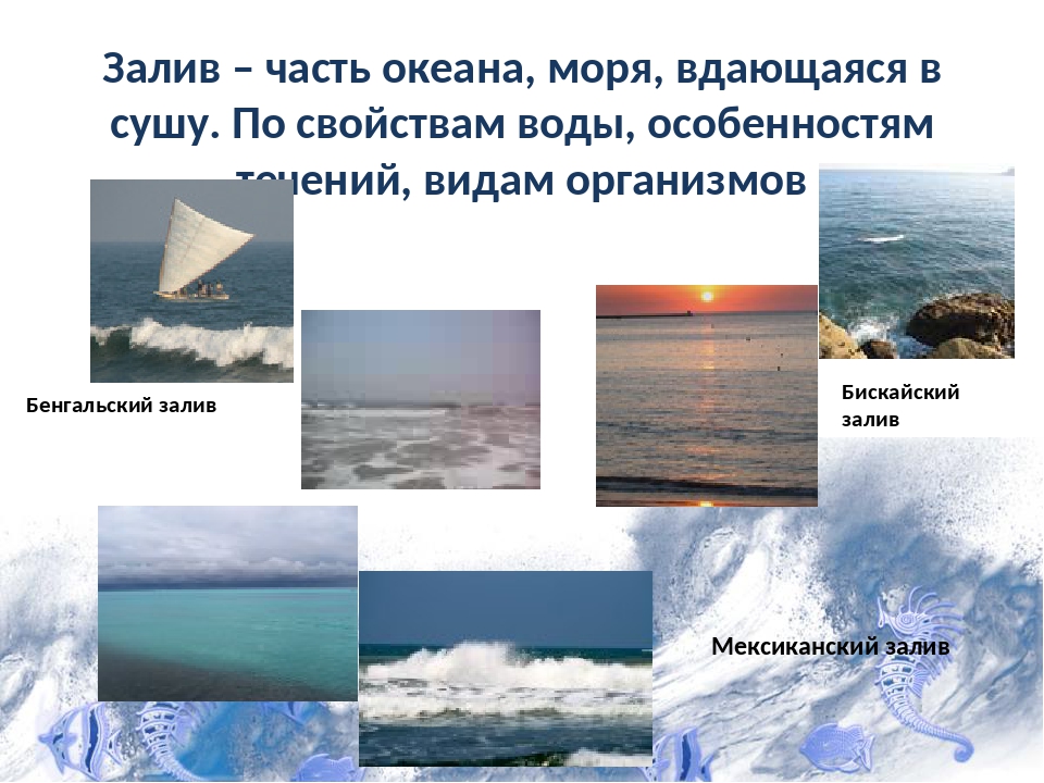 Части океана 6 класс география. Часть океана вдающаяся. Залив это часть океана или моря вдающаяся в сушу. Часть суши вдающаяся в море. Части океанов вдающиеся в сушу.