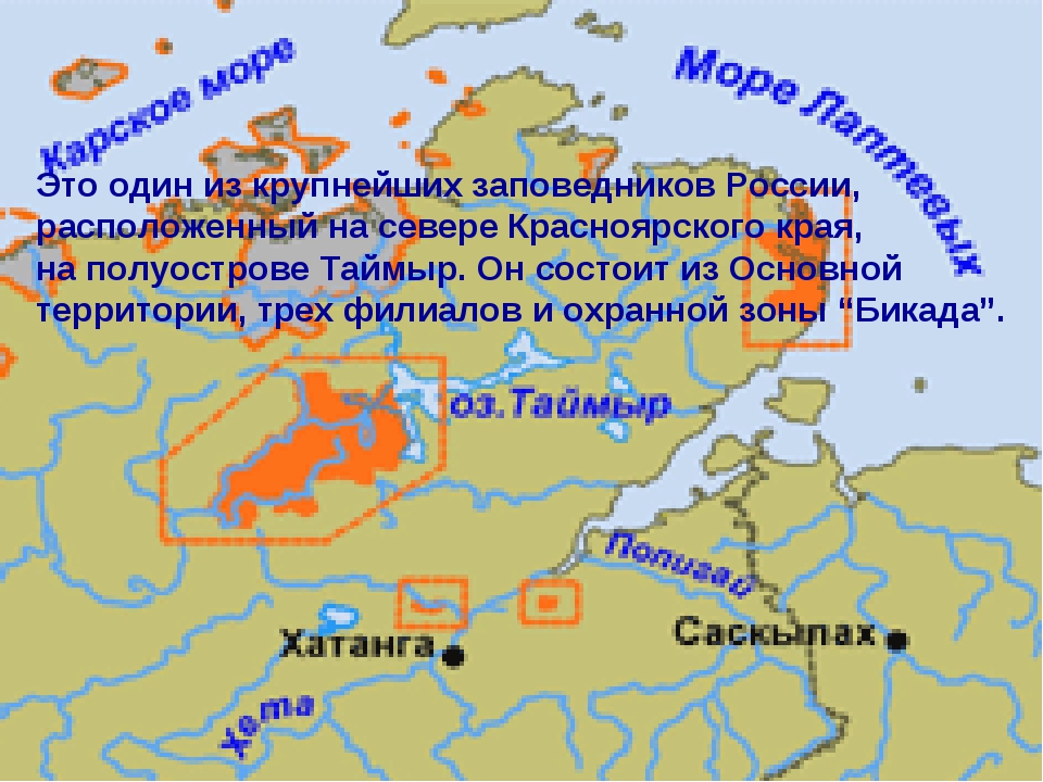Какая крайняя точка расположена на полуострове таймыр. Таймырский заповедник природная зона. Таймырский заповедник Красноярского края. Таймырский заповедник на карте. Таймырский биосферный заповедник на карте.