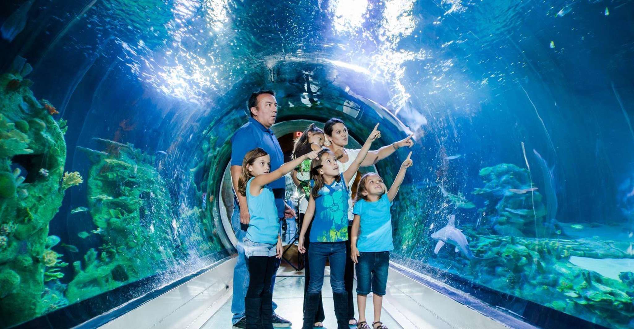 Куда можно сходить ребенку 12 лет. Лондонский аквариум. (Sea Life. London Aquarium). Sealife аквариум. Sea Life Aquarium in London. Аквариум Sea Life Val d'Europe.