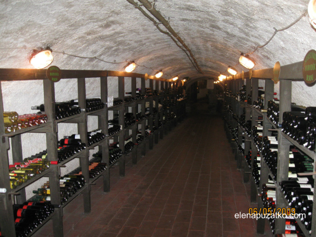 музей вина венгрия интересные факты фото 9