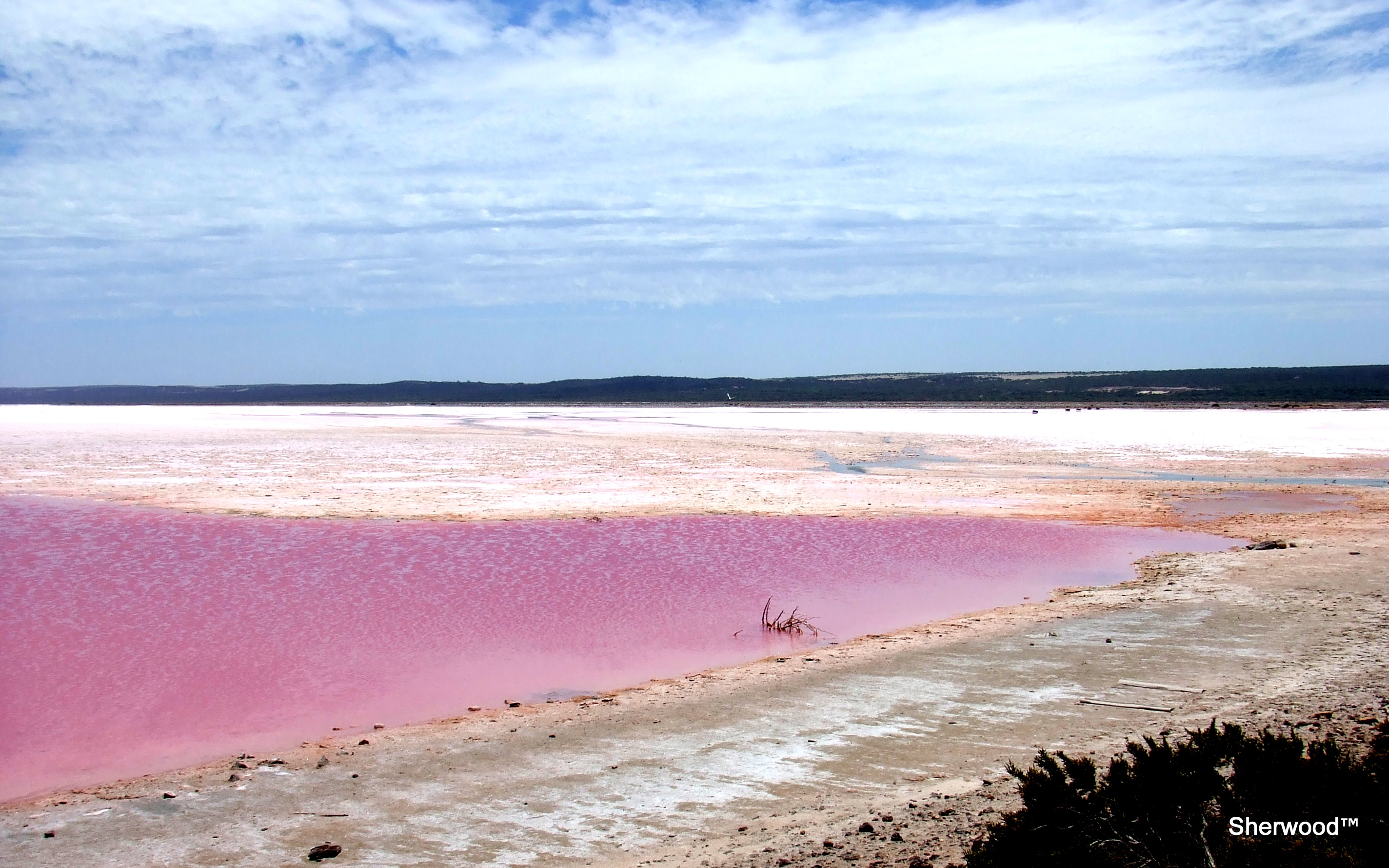 Розовое озеро яровое. Озеро Хиллер (остров Миддл). Озеро Ретба Сенегал. Озеро Хиллиер, Австралия. Малиновое озеро Алтай.