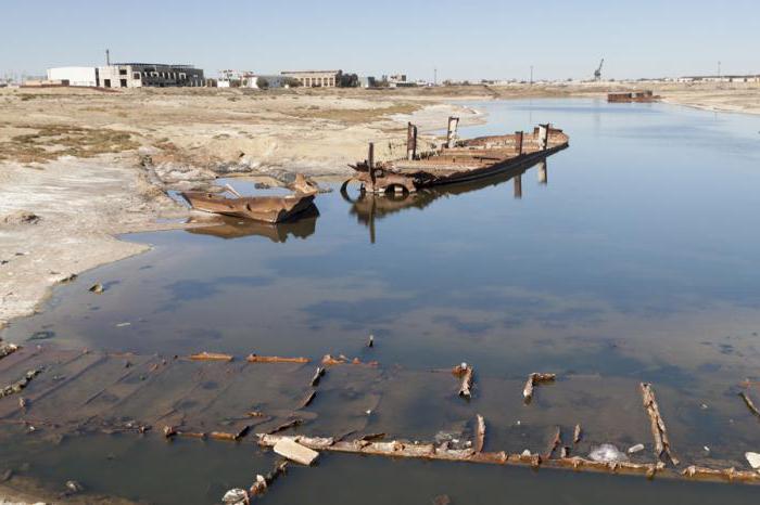 Аральское море почему высохло фото