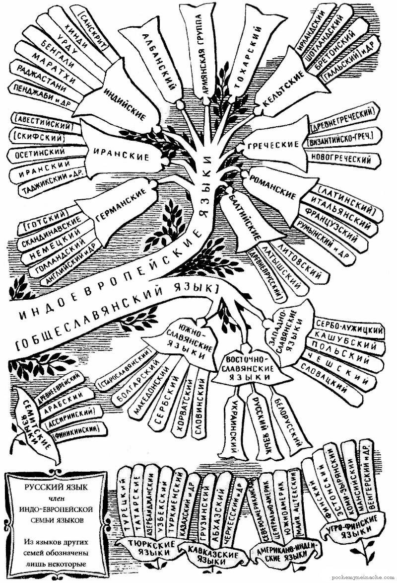Генеалогическое древо русского языка картинки