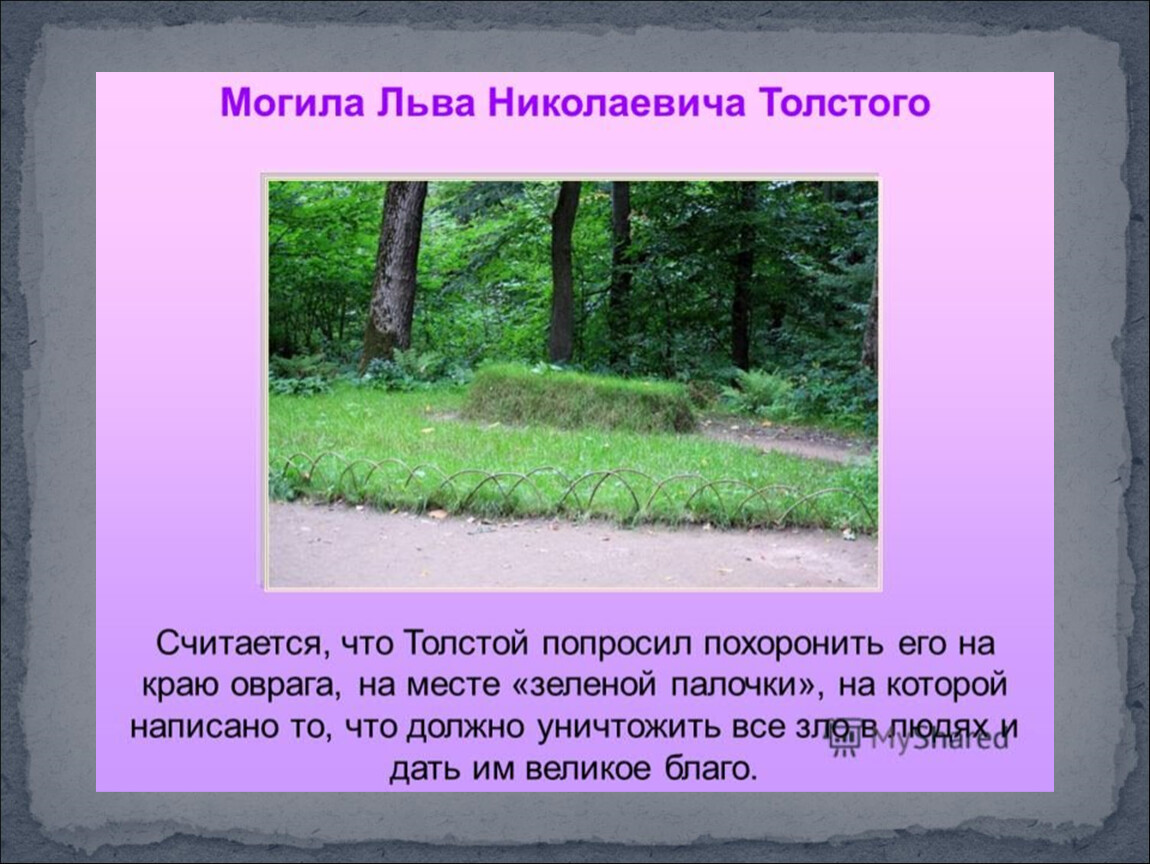 Толстой прошу. Могила Льва Николаевича Толстого. Могил Льва Николаивеча Толстова. Зеленая палочка Льва Николаевича Толстого. Могила Толстого.