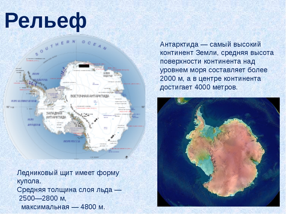 Части мирового океана омывающие антарктиду. Антарктида рельеф материка. Рельеф Антарктиды 7 класс. Крупные формы рельефа материка Антарктида на карте. Антарктида карта основные формы рельефа.