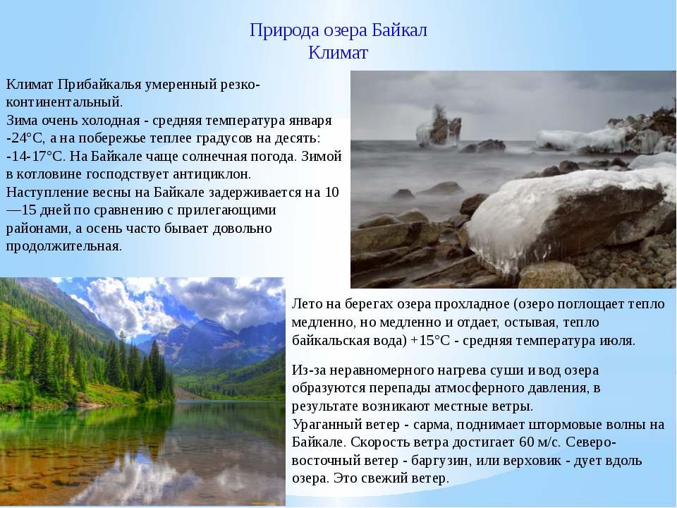 Характеристика байкала. Климатический пояс озера Байкал. Климат Прибайкалья. Природа Байкала описание. Климат Байкала презентация.