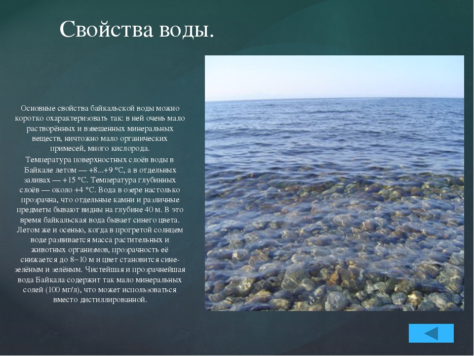 Размеры озера вода. Характеристика воды озера Байкал. Температура воды в Байкале. Почему вода Байкала прозрачная. Какая вода в Байкале летом.