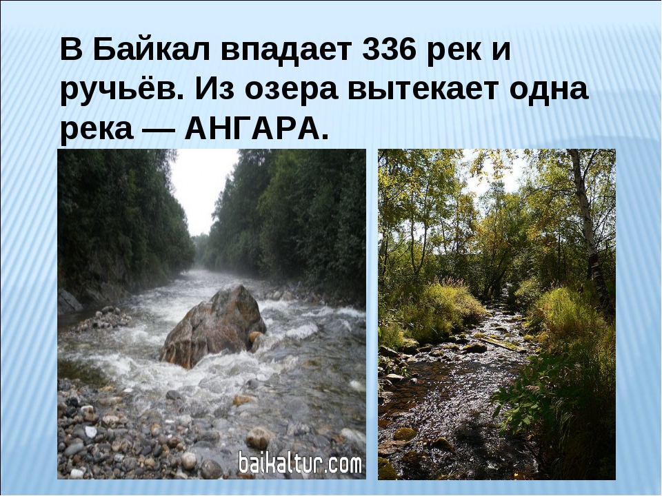 Какие реки вытекают из озера. Реки и ручьи впадающие в Байкал. Байкал реки впадающие и вытекающие. Река впадает и вытекает из озера. В озеро Байкал впадает 336 рек, а вытекает одна, это:.