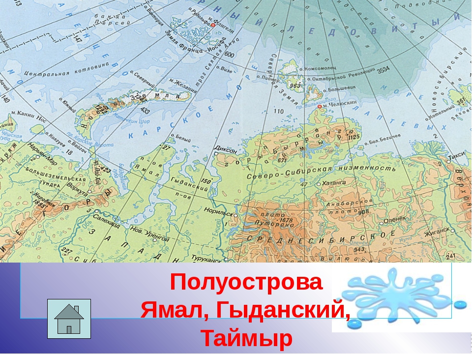 Какая крайняя точка расположена на полуострове таймыр. П-ов Таймыр на карте Евразии. Ямал и Таймыр на карте России. Полуостров Таймыр на карте России. Таймыр на карте России.