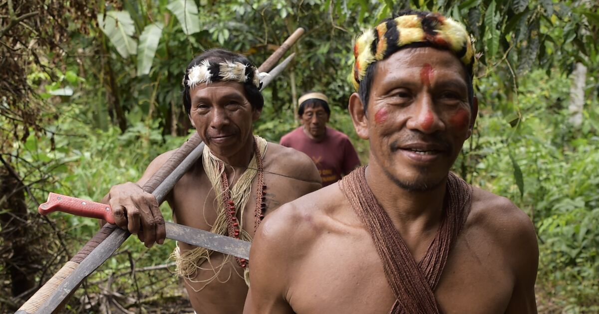 Мир наизнанку эквадор. Индейцы ваорани Эквадор.