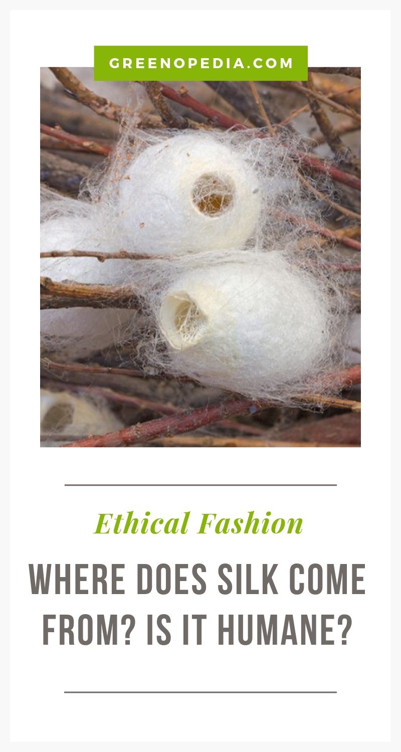 How is Silk Made? And is it Humane? 
