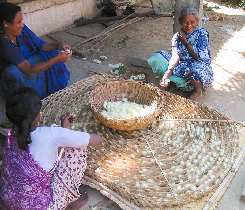 Women making silk