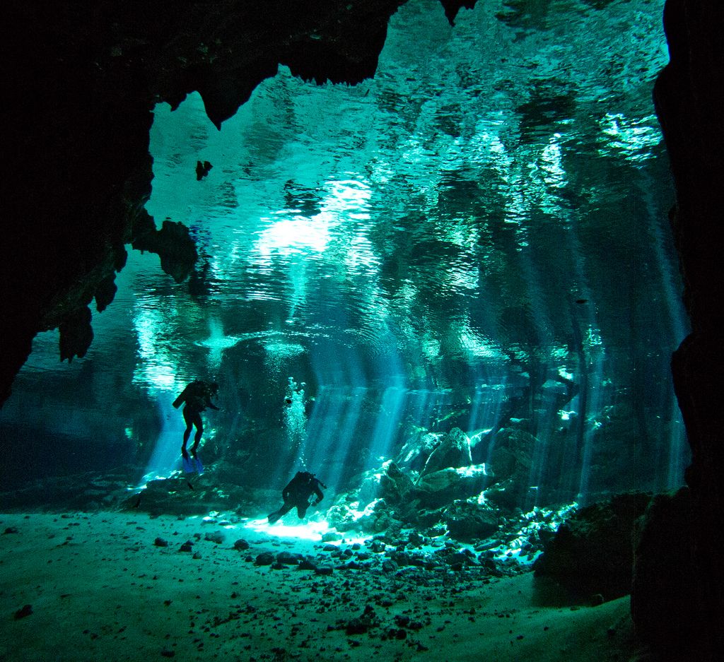 Галоклин что это. Сенот Ангелита Мексика. Сеноты в Мексике дайвинг. Cenote dos ojos Мексика. Река Сенот Ангелита.