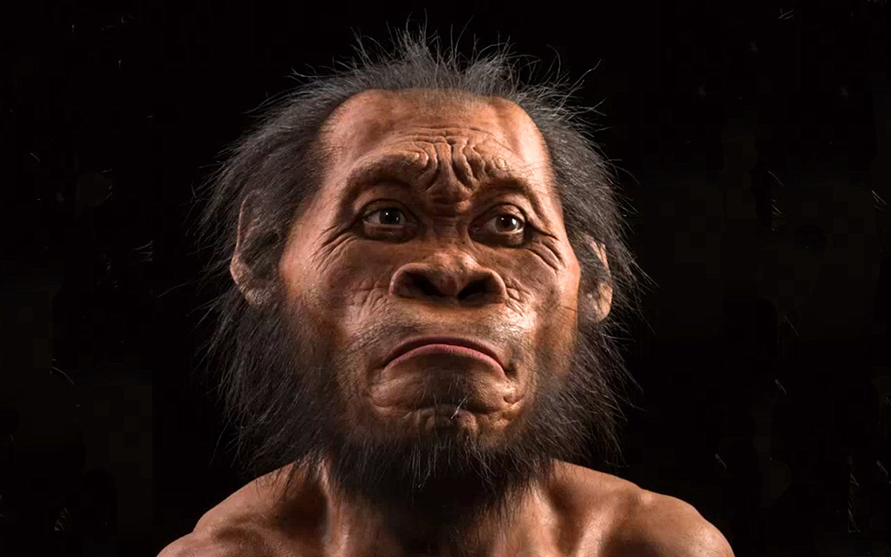 Древние люди фото. Хомо сапиенс реконструкция внешности. Homo Naledi. Хомо сапиенс в Африке. Древний человек.