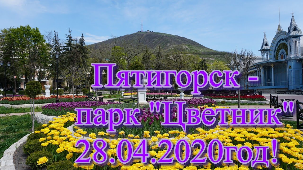 Камеры пятигорск. Мир цветов Пятигорск. Апрель в Пятигорске цветы. Магазин парк цветов в Пятигорске. В Пятигорске клумба время в 17 апреля.