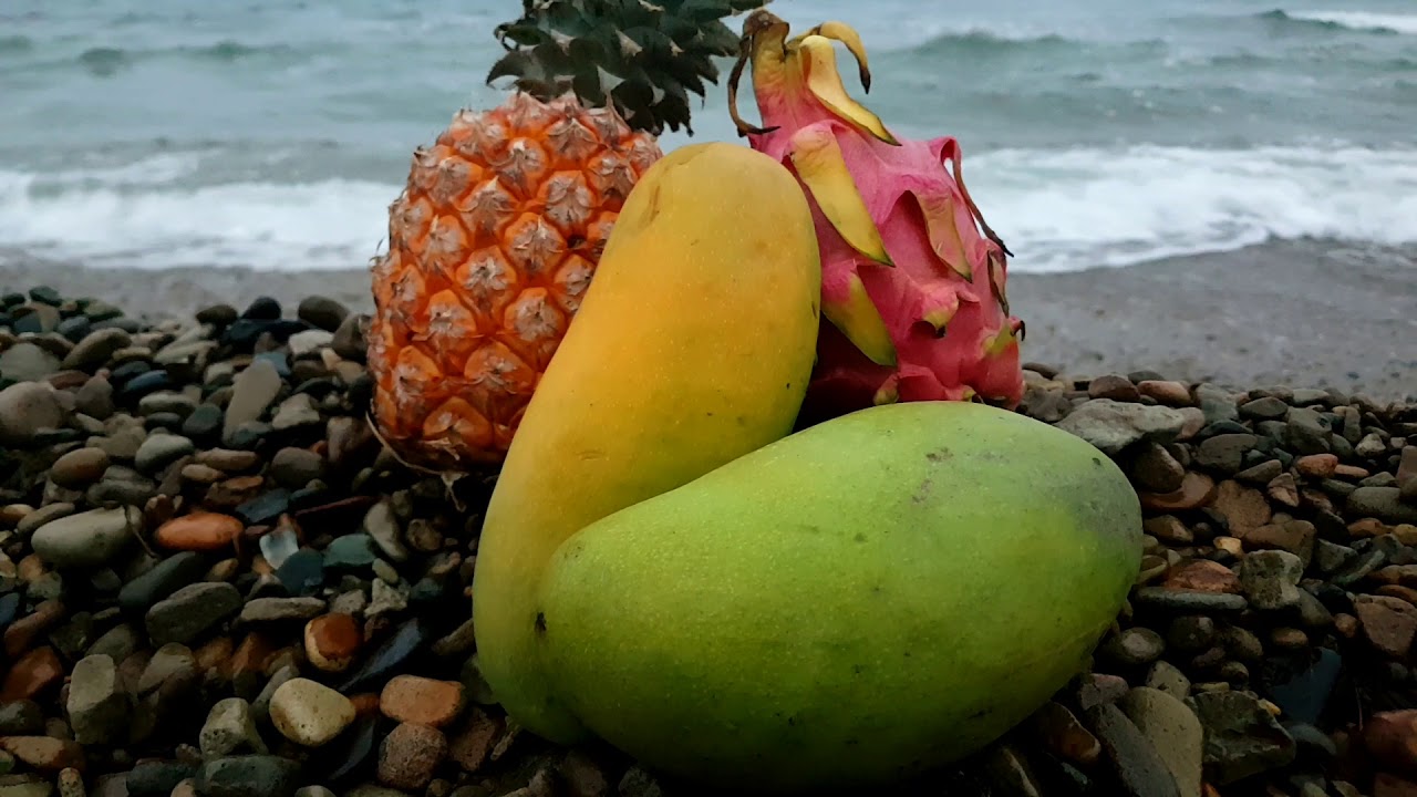 Манго шри ланка. Манго на Бали. Фрукты Тайланда маленькие манго. Манго фрукт Шри Ланка.